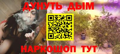 крисы Ирбит