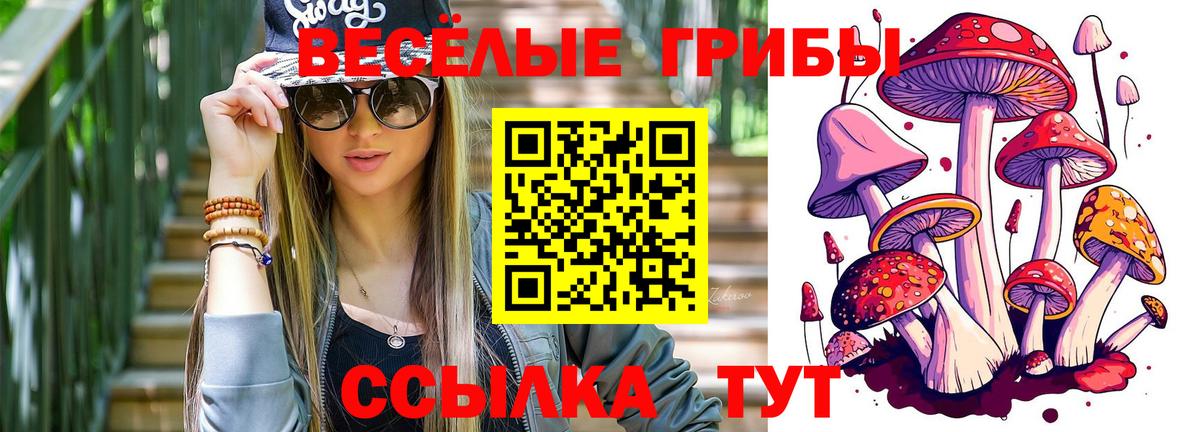 Кудрово  Псилоцибиновые грибы мухоморы  купить наркоту  Вход с VPN 
