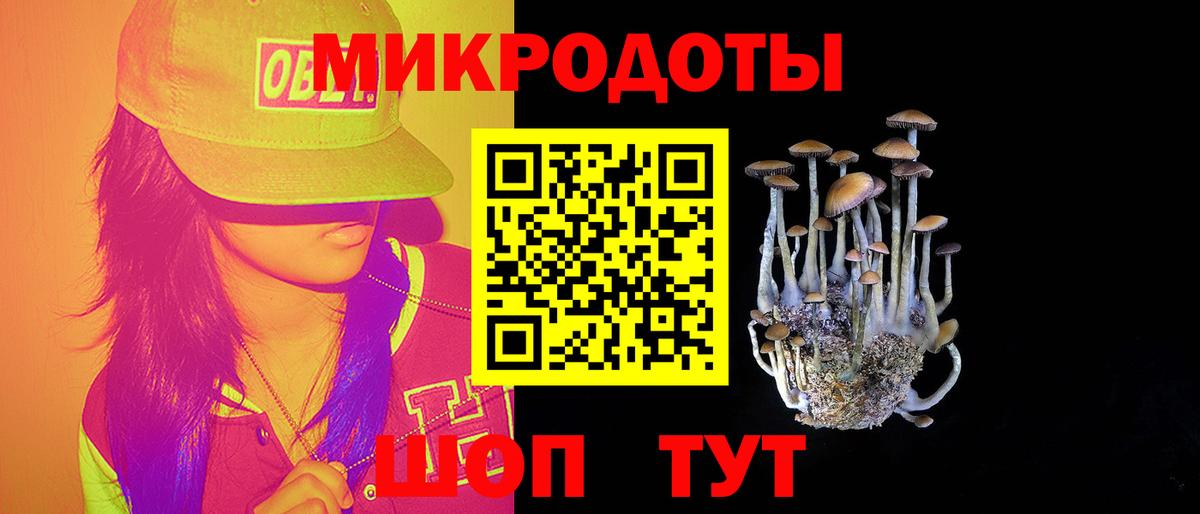 Галлюциногенные грибы GOLDEN TEACHER Кудрово